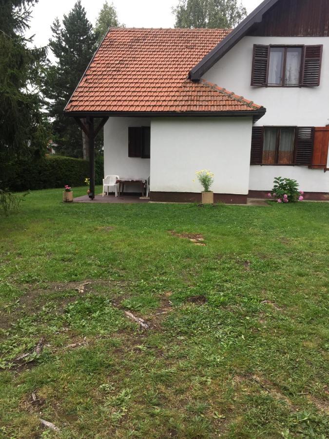 Vila Borovic Златибор Екстериор снимка