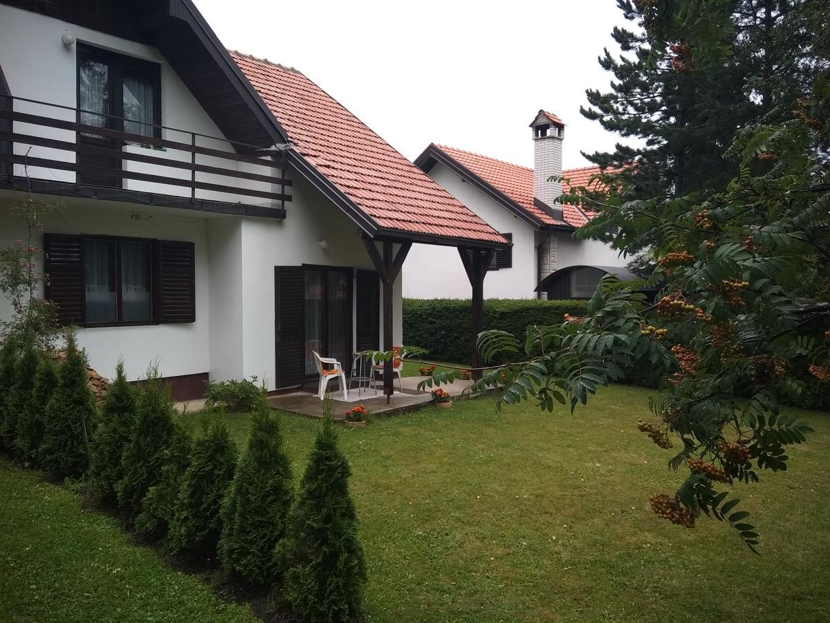 Vila Borovic Златибор Екстериор снимка
